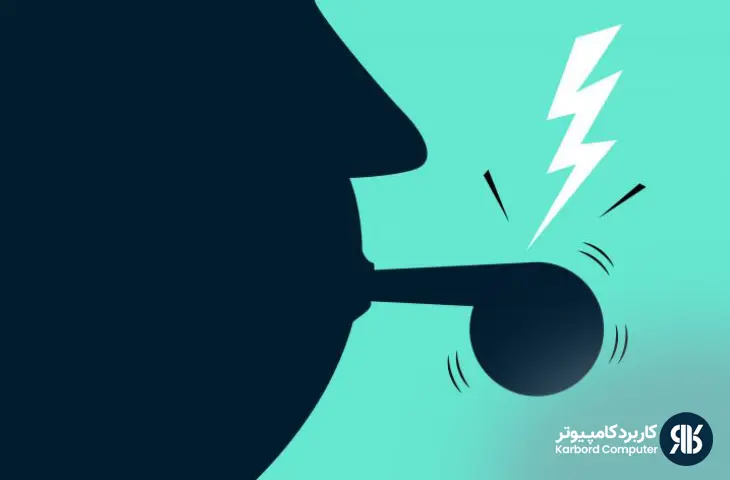 پیگیری سوت زنی مالیاتی